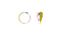 Dual Curve Ring