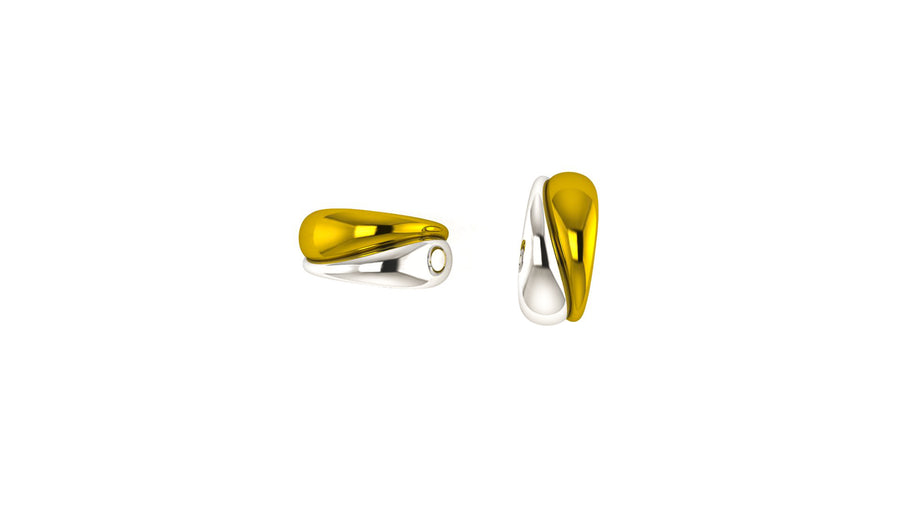 Dual Curve Ring