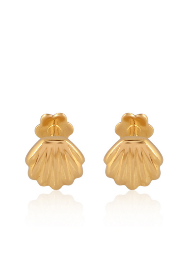Golden Seashell Stud Earrings
