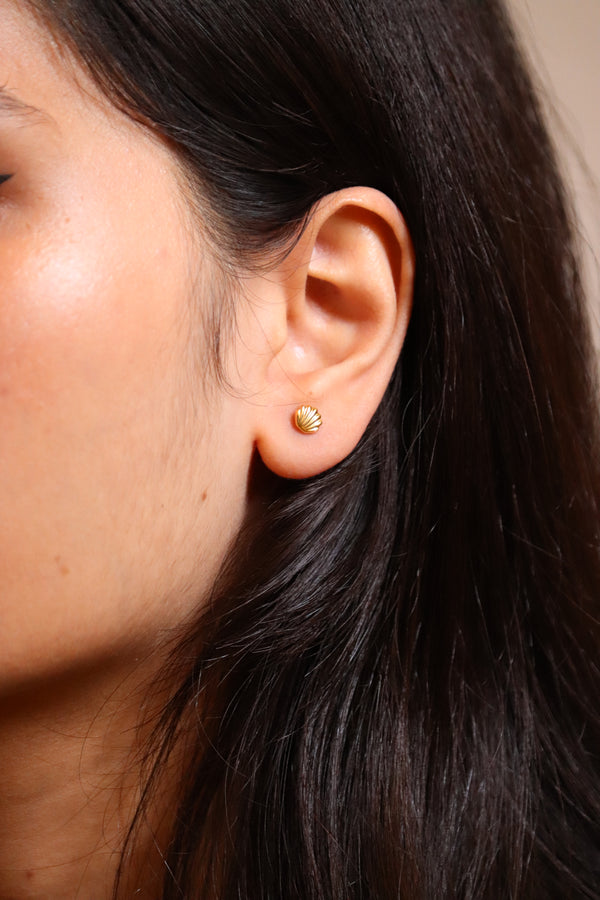 Golden Seashell Stud Earrings alt view