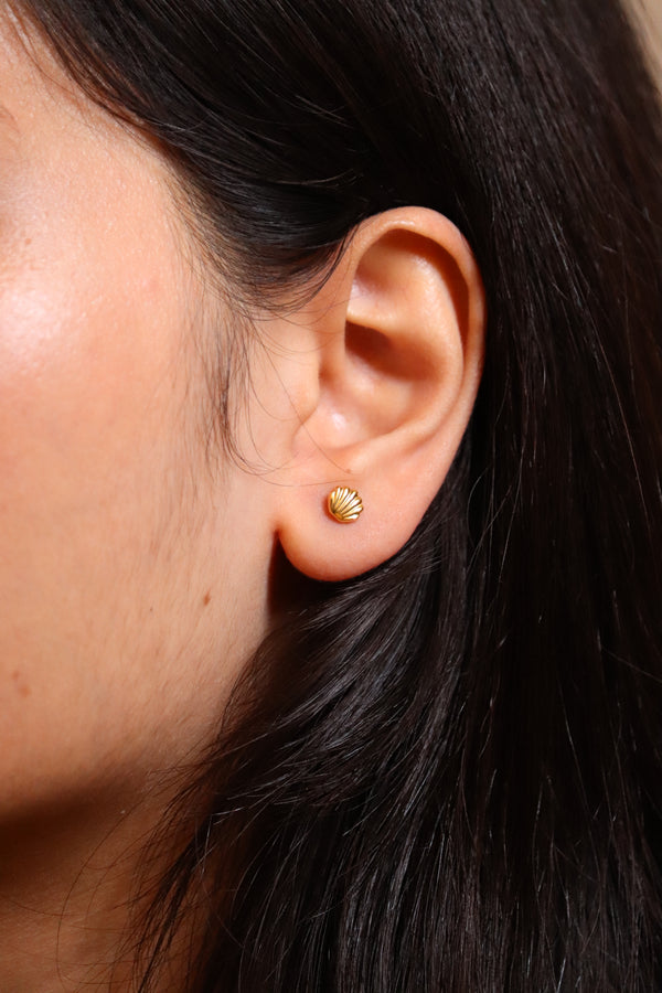 Golden Seashell Stud Earrings hover