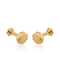 Golden Seashell Stud Earrings