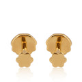Golden Seashell Stud Earrings